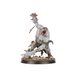 Warhammer Age of Sigmar - WarCry: Gorger Mawpack