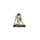 Warhammer Age of Sigmar - WarCry: Royal Beastflayers Warband