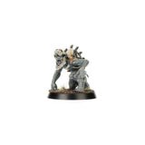 Warhammer Age of Sigmar - WarCry: Royal Beastflayers Warband