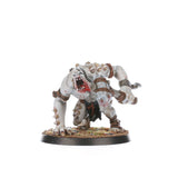 Warhammer Age of Sigmar - WarCry: Gorger Mawpack