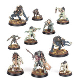 Warhammer Age of Sigmar - WarCry: Royal Beastflayers Warband