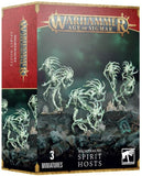 Warhammer Age of Sigmar - Nighthaunt: Spirit Hosts